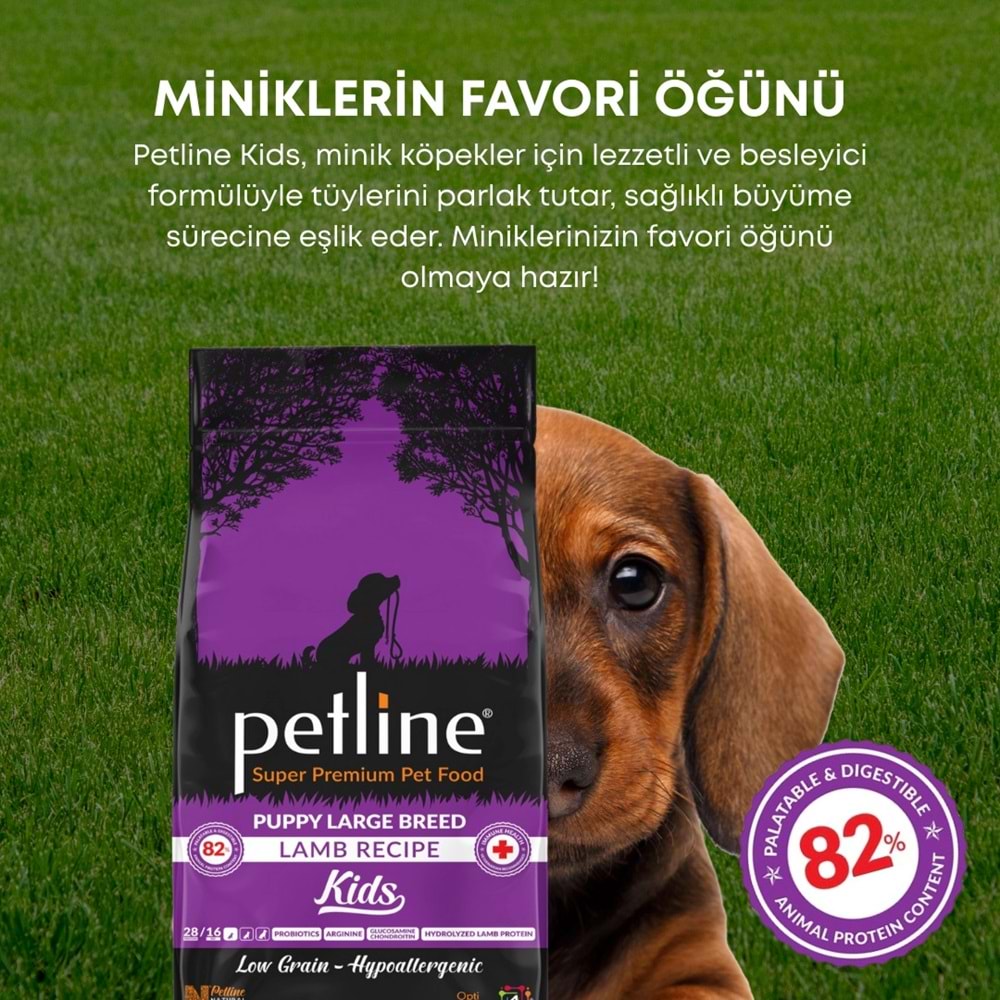 P. S. P. Yavru Köpek Maması Kuzu Etli 12 Kg Kids