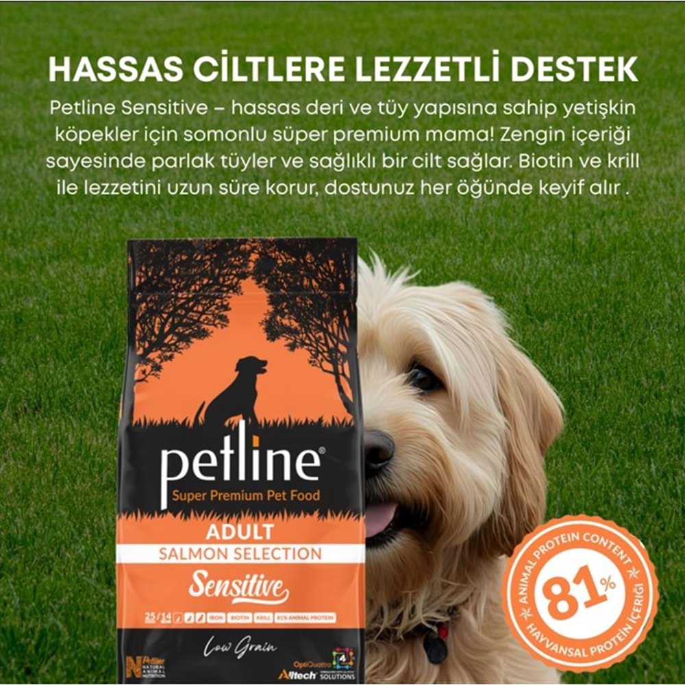 Petline S. P. Yetişkin Köpek Maması Somon Balıklı 12 Kg Sensitive