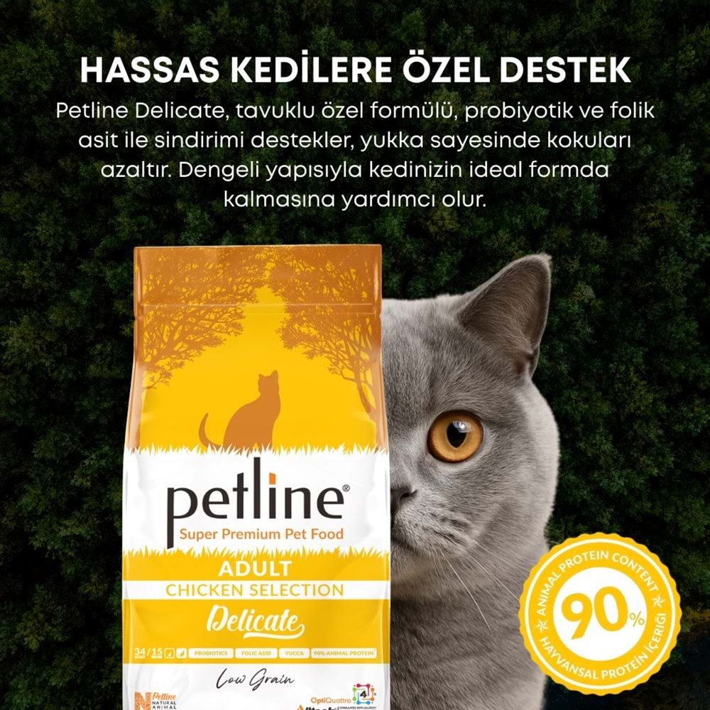 P. S. P. Yetişkin Kedi Maması Tavuklu 10 Kg Delicate