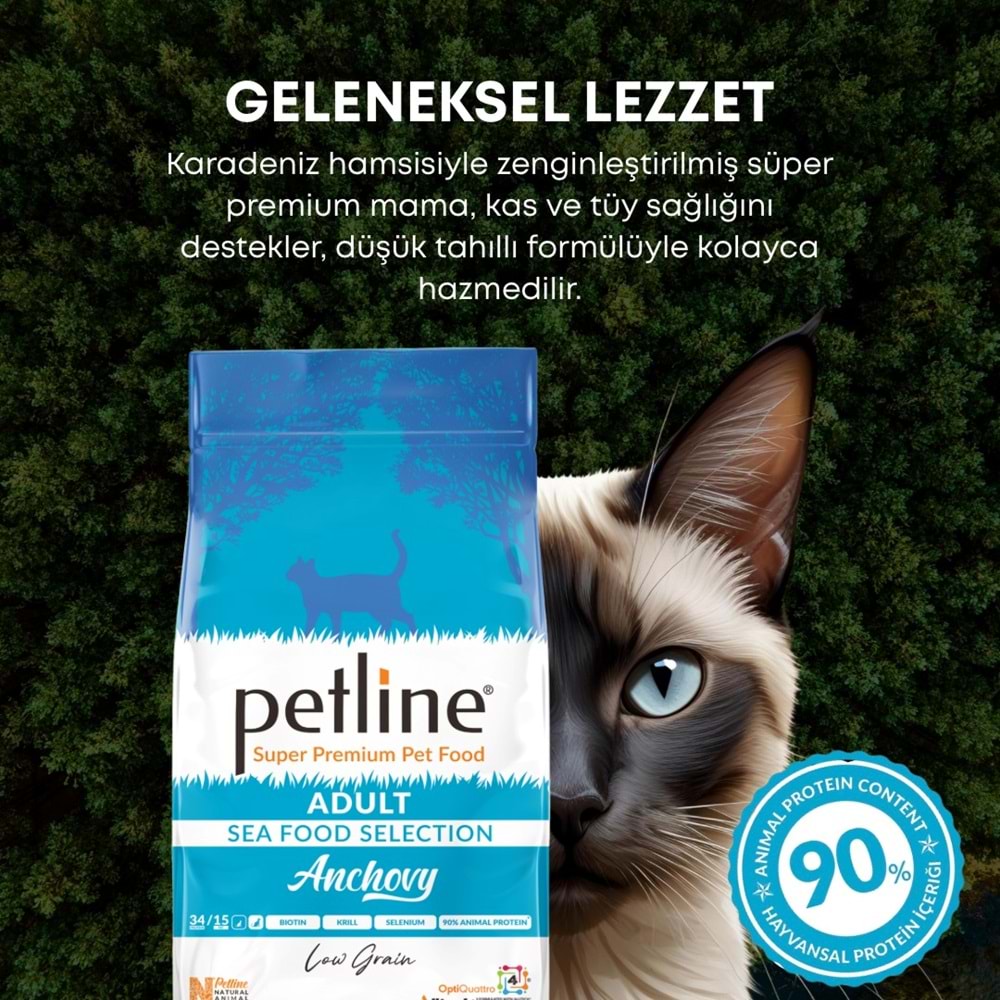 P. S. P. Yetişkin Kedi Maması Hamsili 10 Kg Anchovy