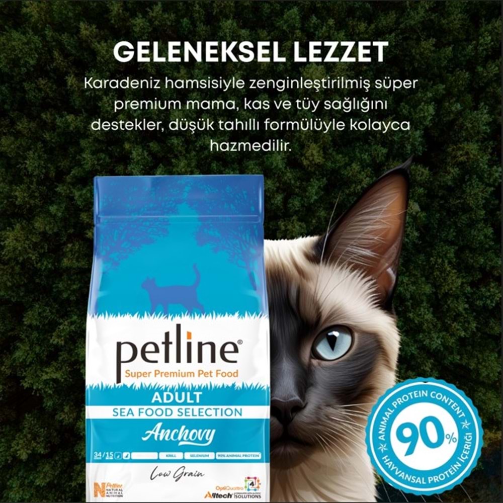 Petline S. P. Yetişkin Kedi Maması Hamsili 10 Kg Anchovy