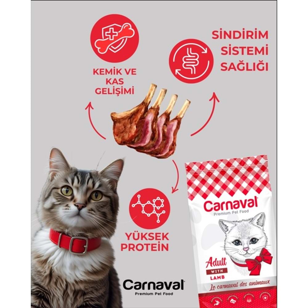 Carnaval Premium Yetişkin Kedi Maması Kuzu Etli 1.5 Kg