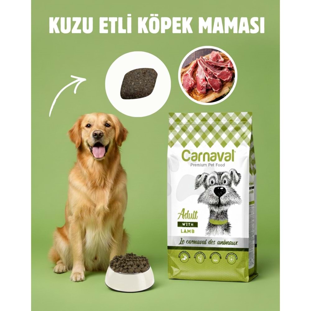 Carnaval Premium Yetişkin Köpek Maması Kuzu Etli 3 Kg