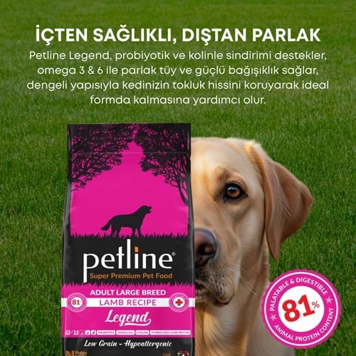 P. S. P. Yetişkin Köpek Maması Kuzu Etli 12 Kg Legend