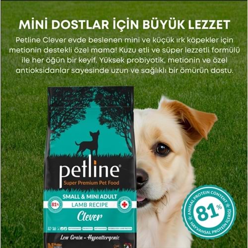 Petline S. P. Yetişkin Köpek Maması Small&Mini Irk Kuzu Etli 6 Kg Clever