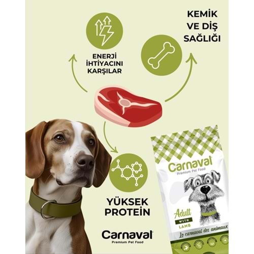 Carnaval Premium Yetişkin Köpek Maması Kuzu Etli 3 Kg